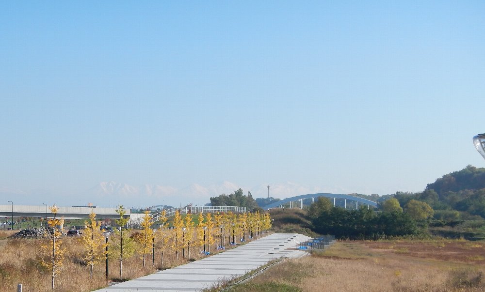 e0336214_8335155.jpg
