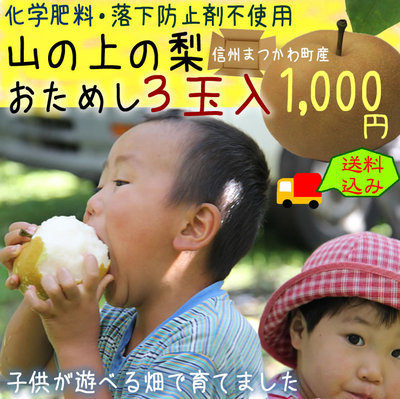 ♪新鮮　発芽野菜通信『霜降、遷都、紅葉』♪_d0063218_10295232.jpg