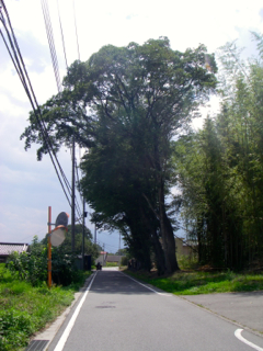 上諏訪 七里岩ライン 泉ライン 八ヶ岳広域農道 高根 穴山 Hills飛地 長距離自転車乗り 輪行含む の日誌