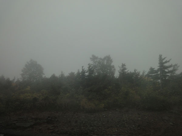 e0192725_22243958.jpg