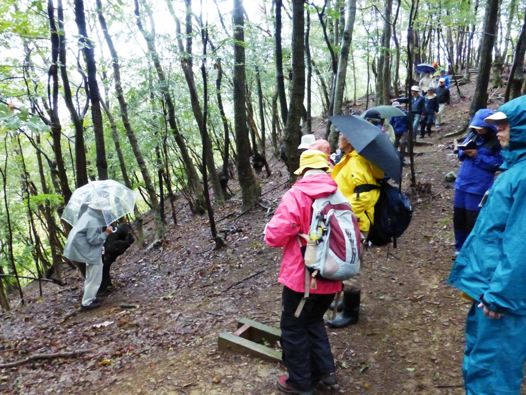 ２０１３年１０月２０日（日）　里山観察会　例会_d0024426_11191469.jpg