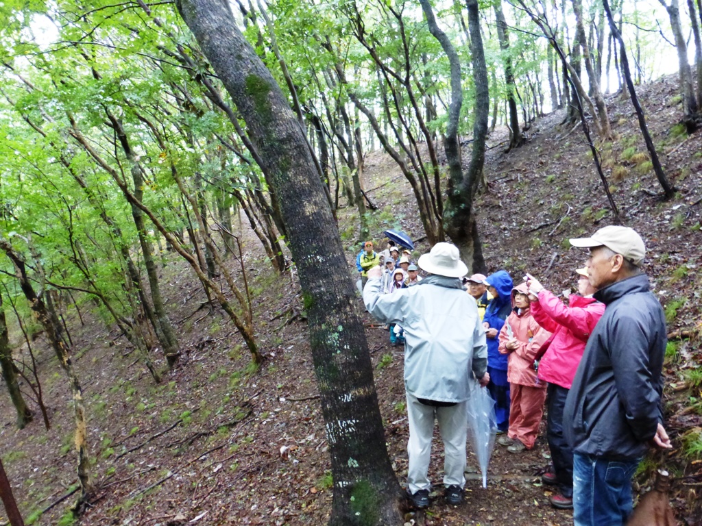 ２０１３年１０月２０日（日）　里山観察会　例会_d0024426_11241630.jpg