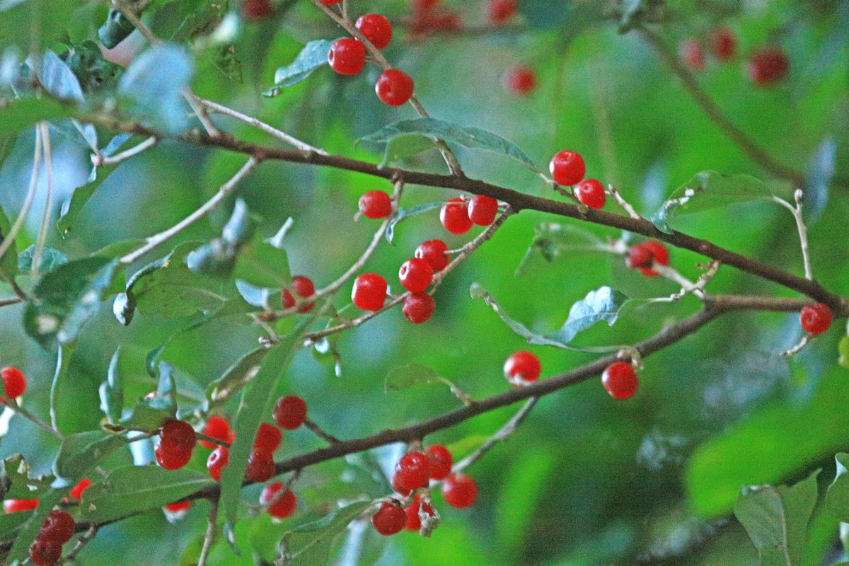 c0104227_22465863.jpg