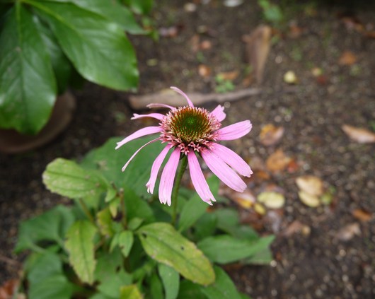 a0228333_22271986.jpg