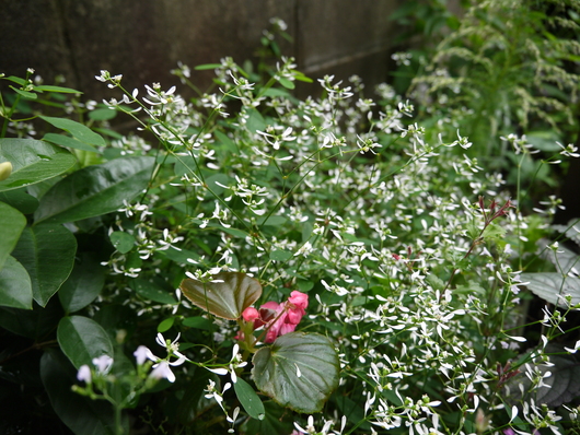 a0228333_22373846.jpg