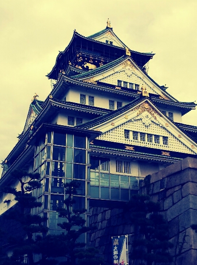 お出迎え_c0113733_23323573.jpg
