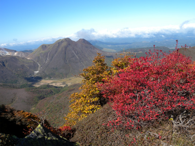 e0272335_9552064.jpg