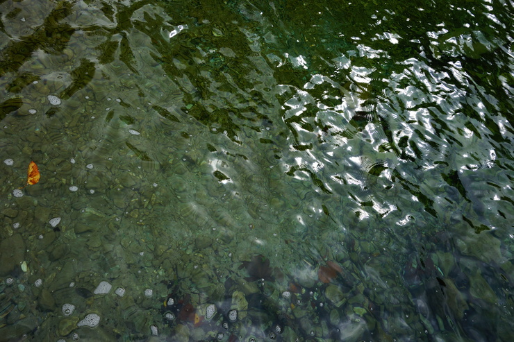 a0287336_22132439.jpg