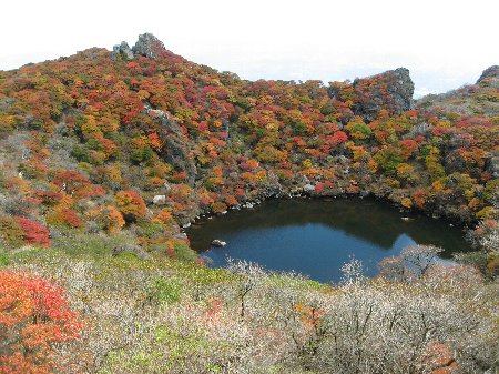 １３年　くじう・大船山の紅葉　_b0063438_2041355.jpg