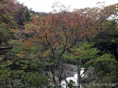 平成25年10月22日（火）　夏井川渓谷の紅葉の様子_f0105342_14352045.jpg