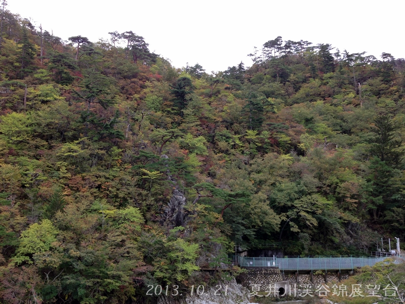 平成25年10月22日（火）　夏井川渓谷の紅葉の様子_f0105342_14374294.jpg