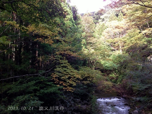 平成25年10月22日（火）　夏井川渓谷の紅葉の様子_f0105342_1440675.jpg