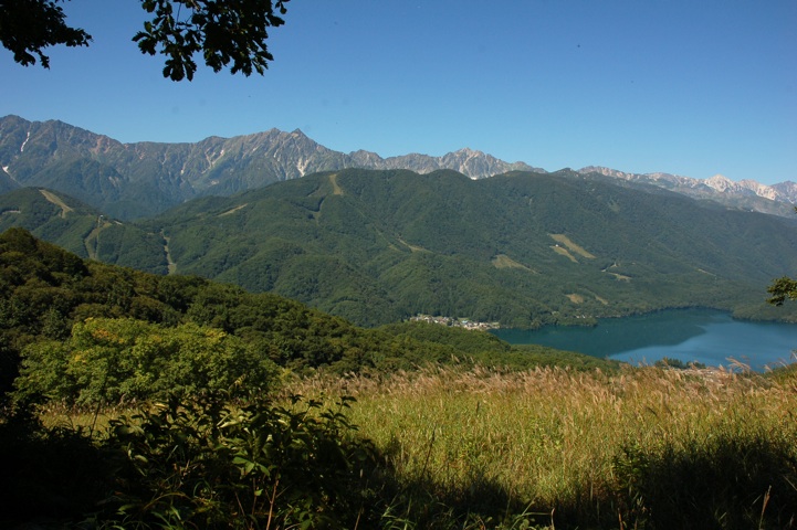 c0002943_03842.jpg