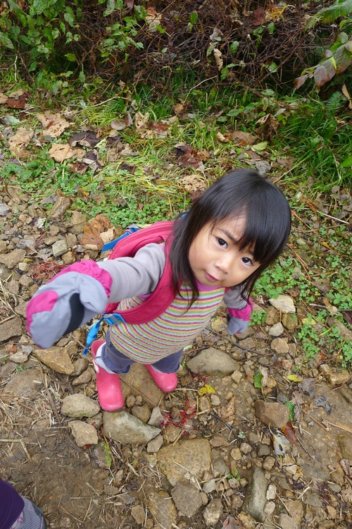 f0209354_15104477.jpg