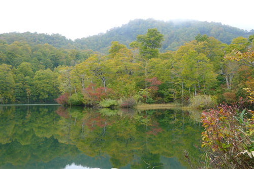 f0209354_15222459.jpg