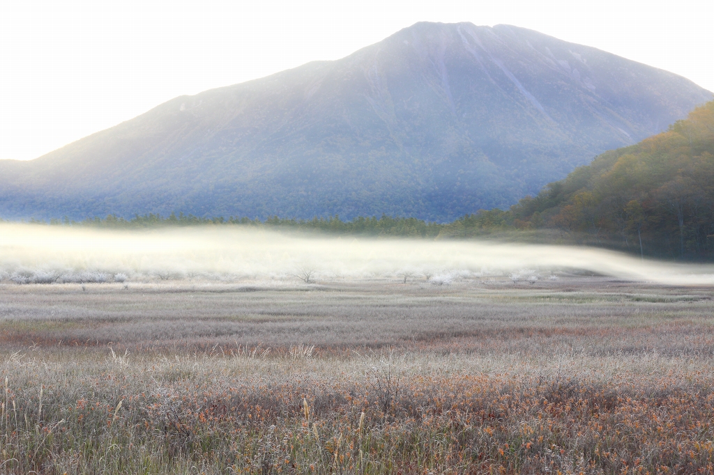 早朝の小田代ヶ原　　　2013_10_23_e0229455_2233294.jpg