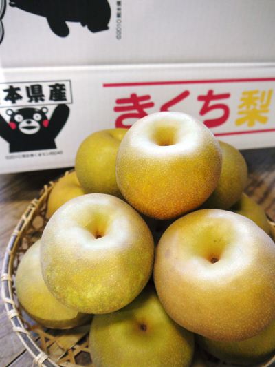 熊本梨 お礼肥えと枝抜き作業_a0254656_1712522.jpg