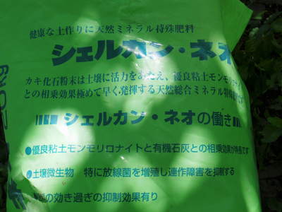 熊本梨 お礼肥えと枝抜き作業_a0254656_17361810.jpg