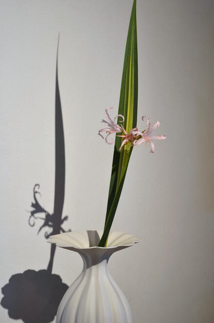 「 若杉聖子 展 さらさら 」 ありがとうございました_d0087761_1618051.jpg