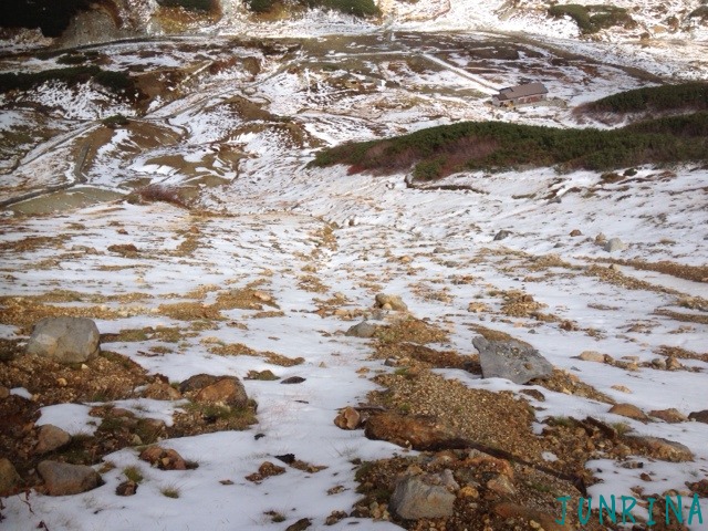 d0110562_15455243.jpg