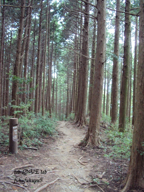 b0196568_14514726.jpg