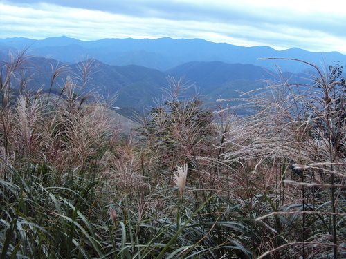 b0196568_14524090.jpg