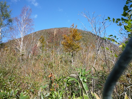 南会津の二岐山・七ヶ岳を歩いてきた_c0273271_10251795.jpg