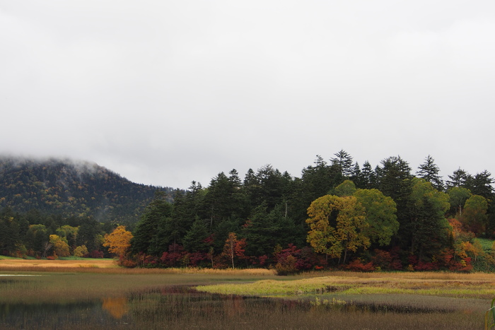 紅葉と草紅葉の尾瀬へ　　Ⅱ_e0307372_23152312.jpg