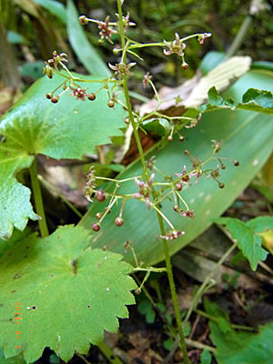 f0083977_20321294.jpg