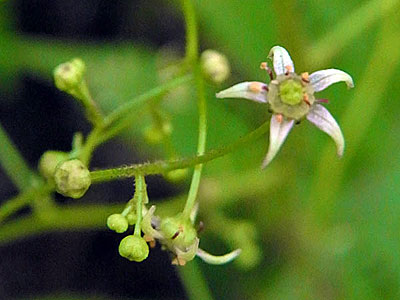 f0083977_20324286.jpg