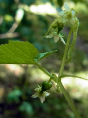f0083977_20343125.jpg