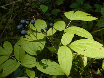 f0083977_20344992.jpg