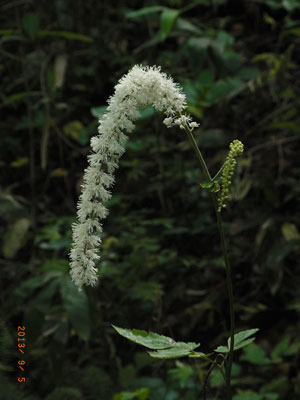 f0083977_2034530.jpg