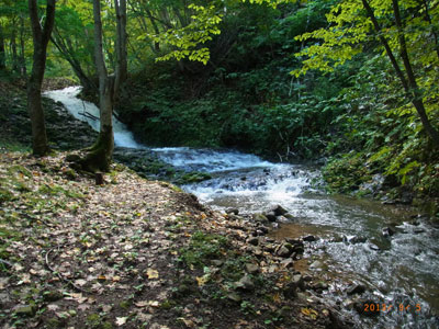 f0083977_20374688.jpg