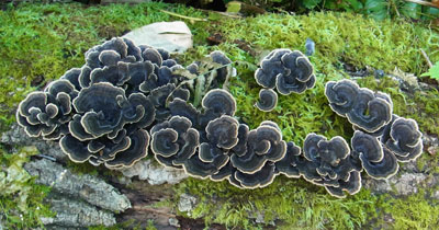 f0083977_20381295.jpg