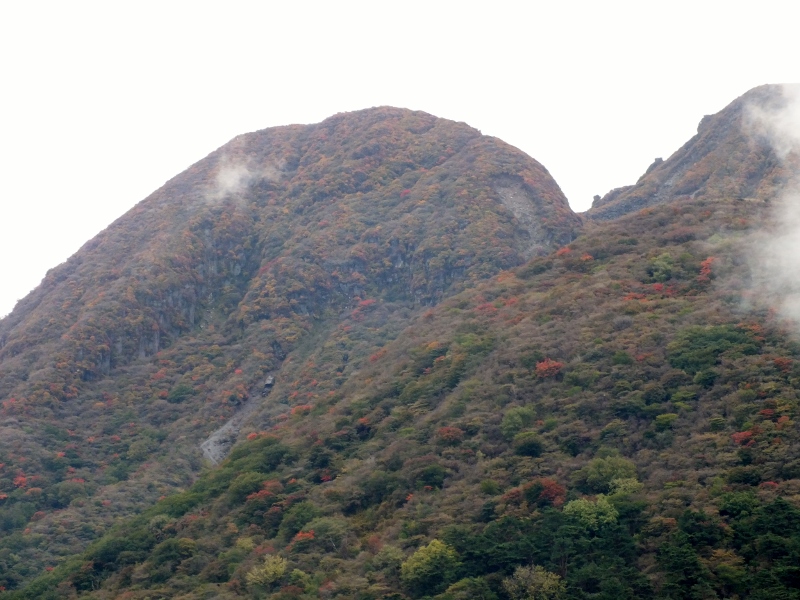 f0082181_1736301.jpg