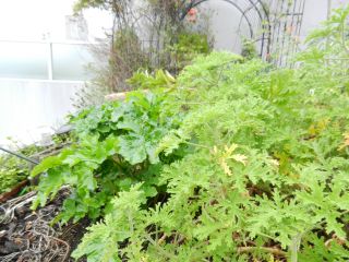 2013年10月22日 美術館ですよね?_b0098584_939095.jpg