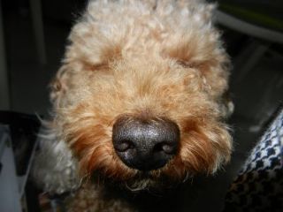 2013年10月22日 美術館ですよね?_b0098584_9421331.jpg