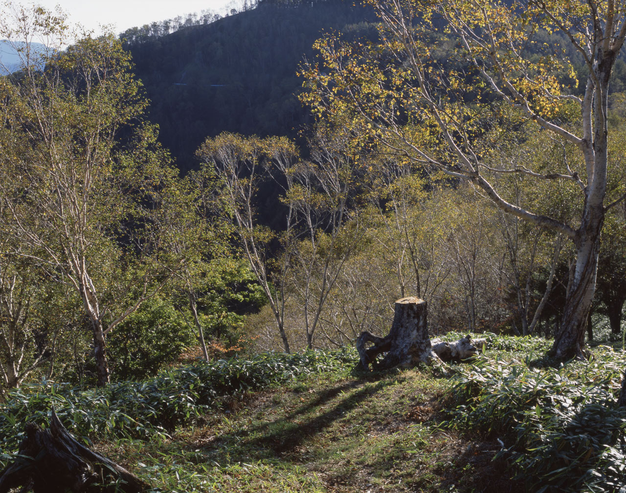 遠山郷　2013/10/xx - 07_a0142487_20253759.jpg