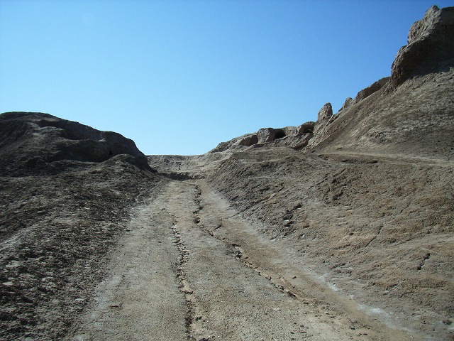 b0287088_20555620.jpg
