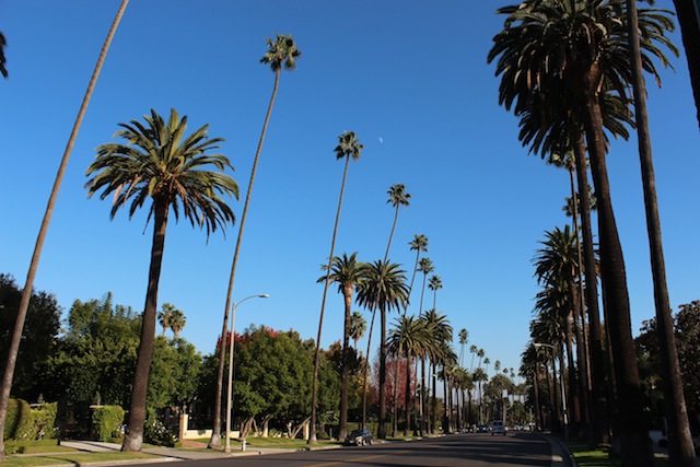 c0306400_21321.jpg