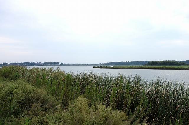 b0147203_23134022.jpg