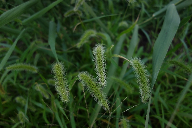 b0147203_23141673.jpg