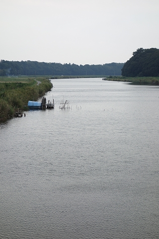 b0147203_23164671.jpg