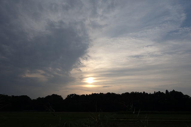b0147203_23182664.jpg