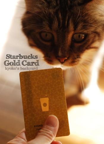 スターバックスのゴールドカード_b0253205_0253897.jpg