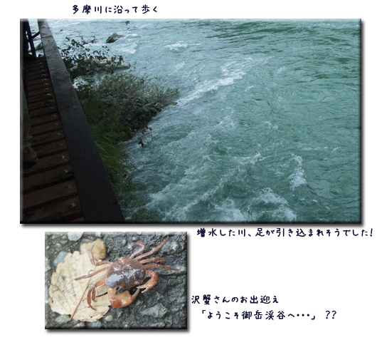 スケッチ画展&御岳渓谷をのウォーキング&孫の運動会_c0051105_11321321.gif