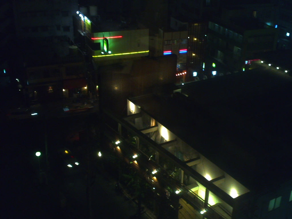 ハリネズミ紀行 131023_d0147406_19483051.jpg