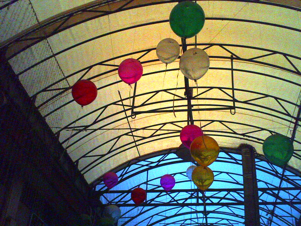 ハリネズミ紀行 131023_d0147406_19572211.jpg