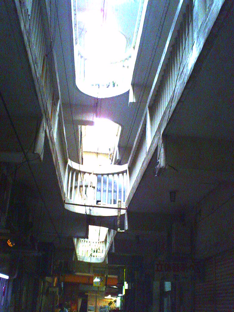 ハリネズミ紀行 131023_d0147406_1958437.jpg